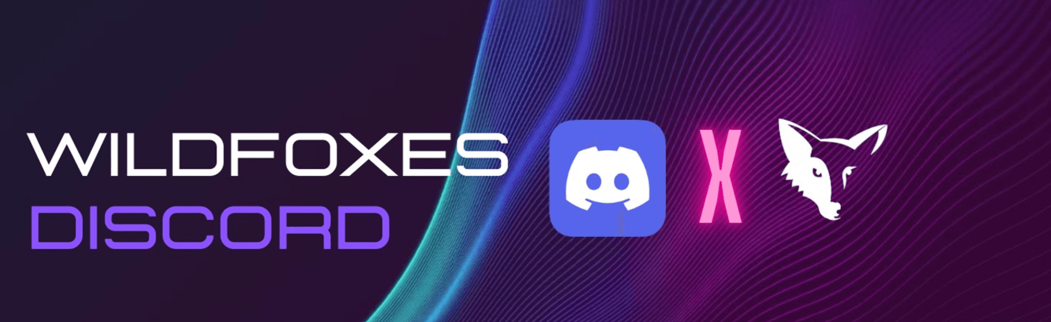 Wild Foxes x Discord